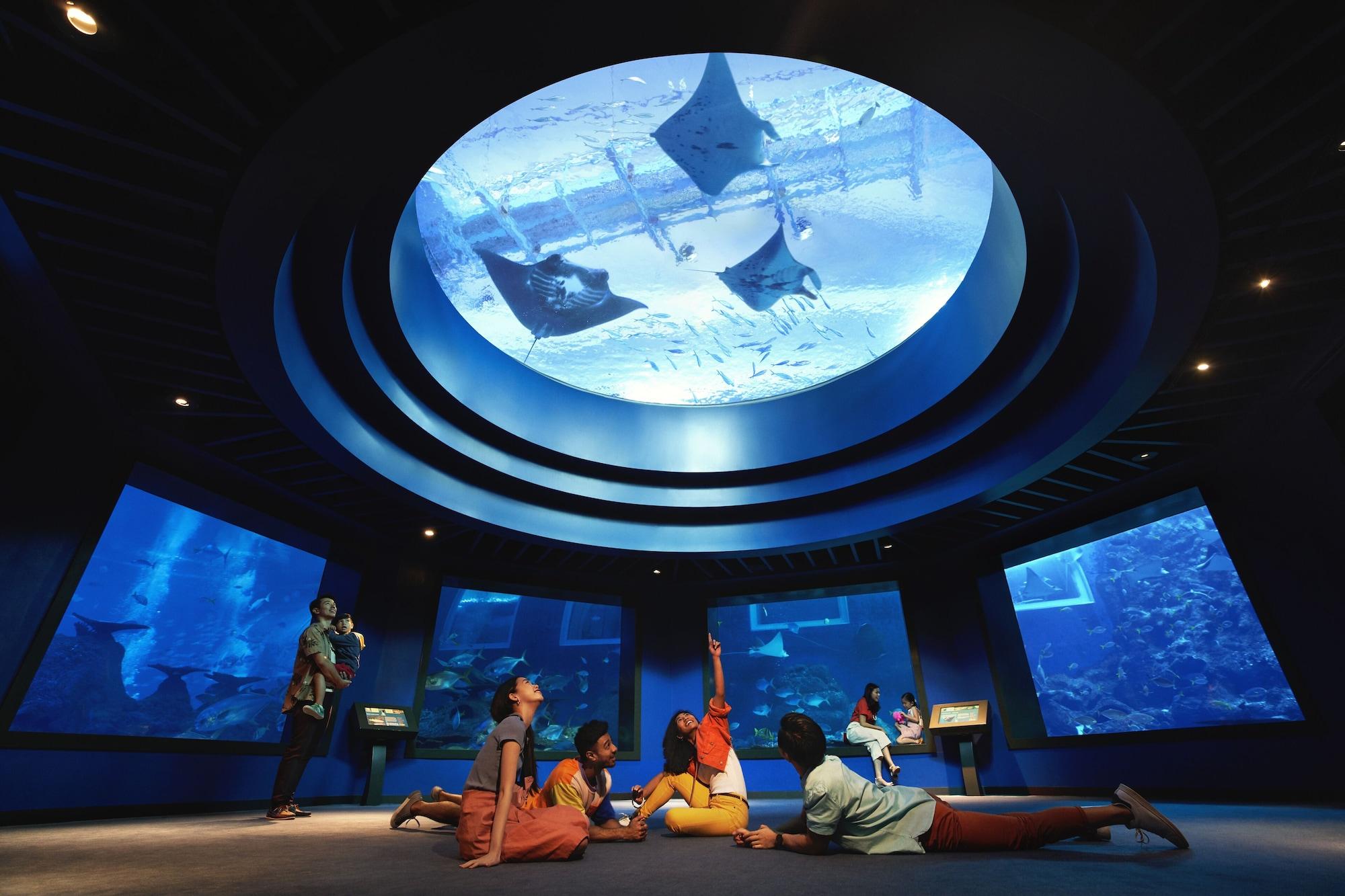 World Sentosa - Michael 5* Singapura