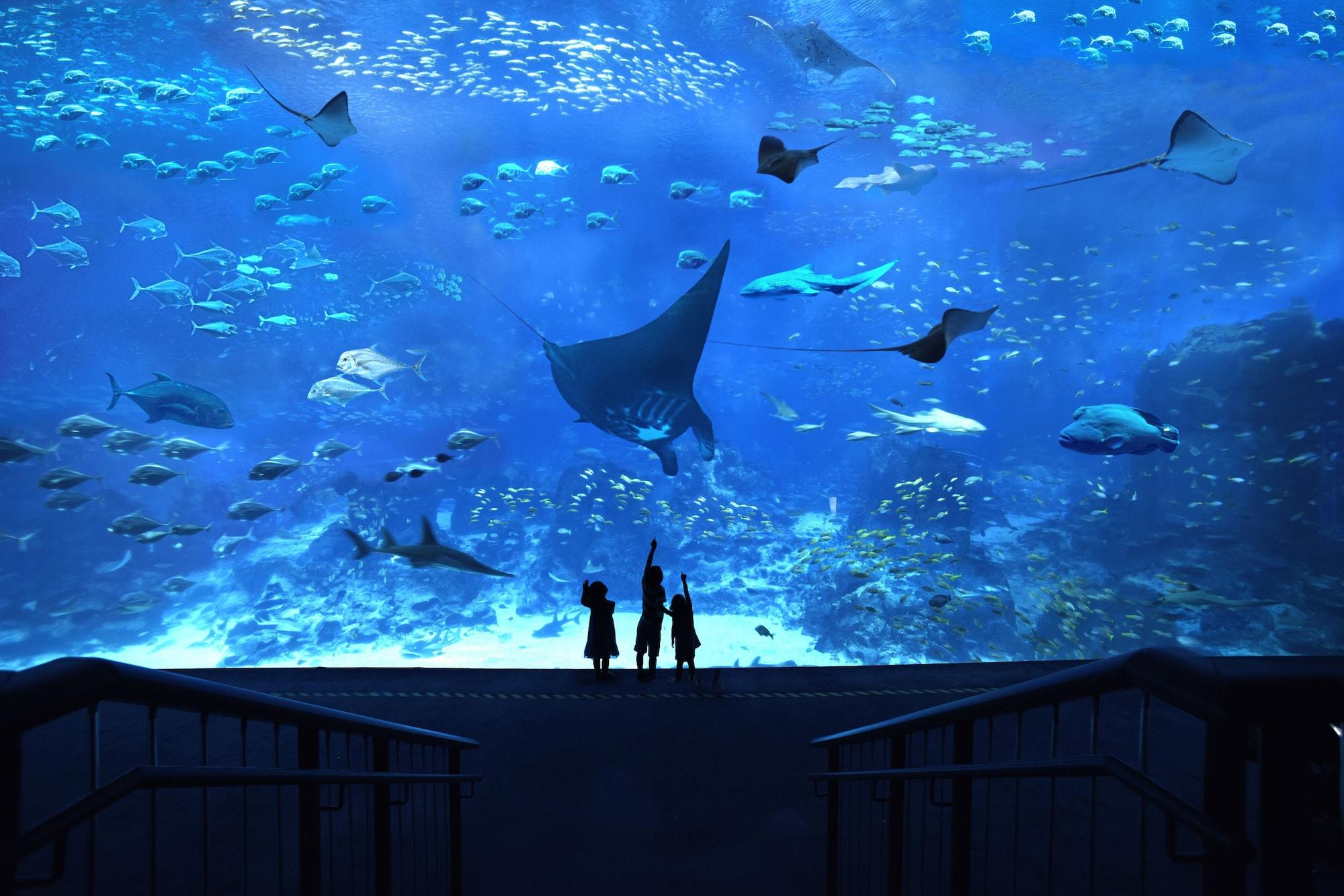 World Sentosa - Michael Resor 5*