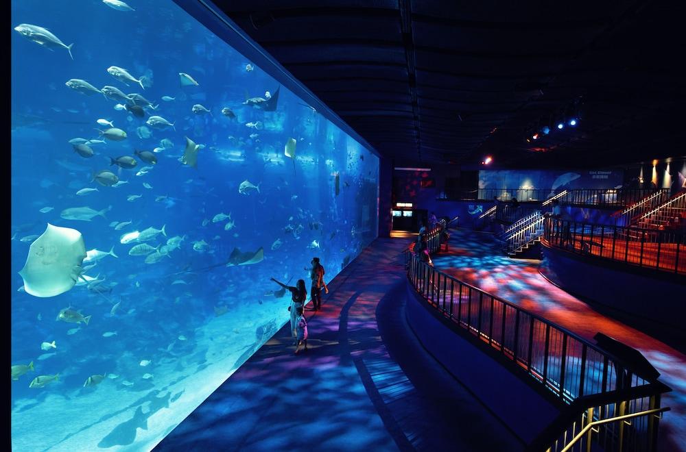 World Sentosa - Michael Resor